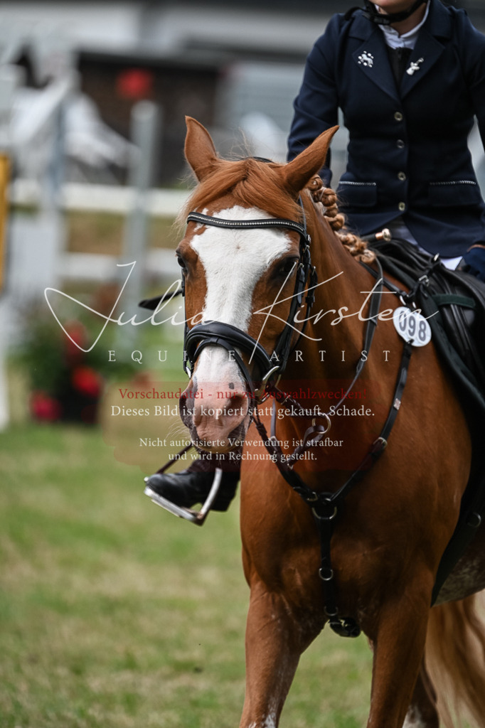 DSC_8621 | Pferde- und Turnierfotografie in Westsachsen. Pferdeportraits, Auftragszeichnungen und intuitive Kunst.