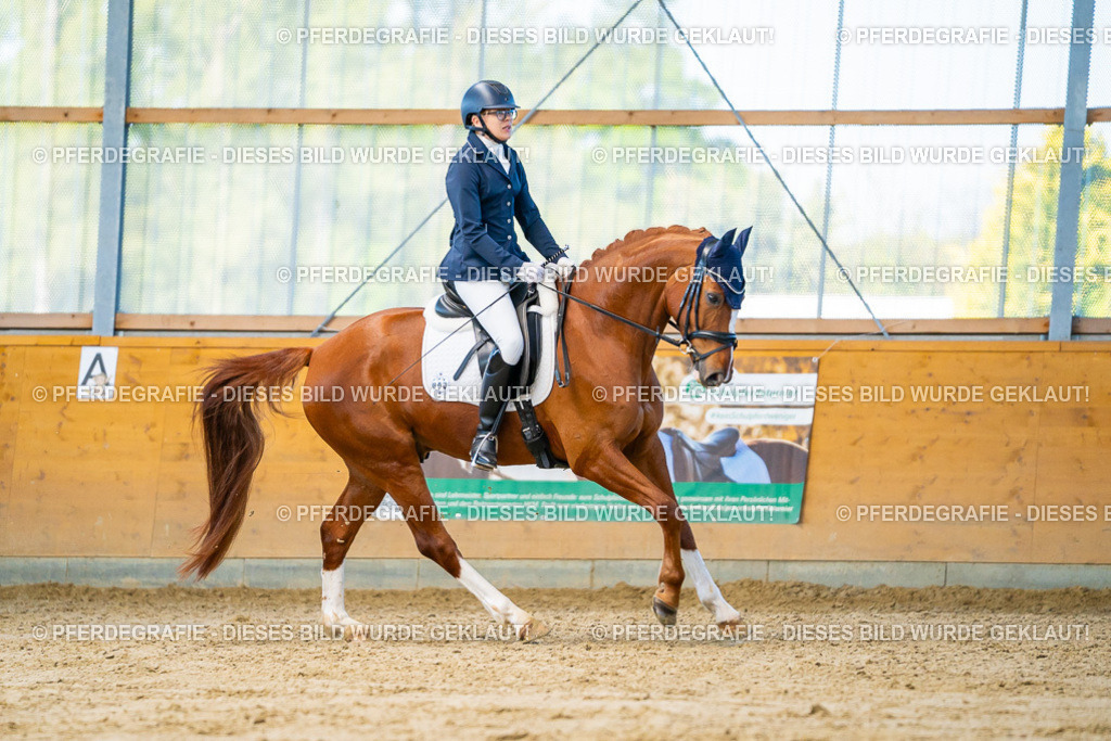 DSC06526 | Pferdegrafie