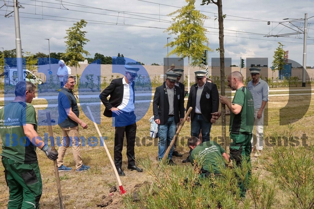 Eicheingrabung | Eicheingrabung - Realisiert mit Pictrs.com