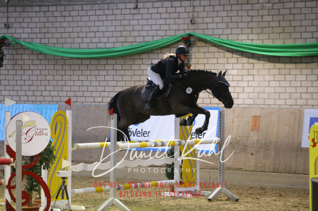 IMG_0918 | Turnierfotos kaufen im Webshop von Daniel Kuhl Photography – entdecke professionelle Reitsportfotos aus Turnieren & Events. Hochwertige Turnierbilder online bestellen & sichern. Jetzt Fotos von Reitsportturnieren kaufen!