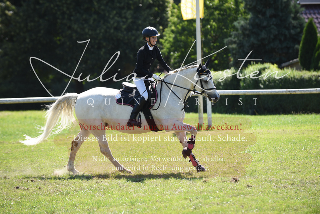 DSC_9493 | Pferde- und Turnierfotografie in Westsachsen. Pferdeportraits, Auftragszeichnungen und intuitive Kunst.