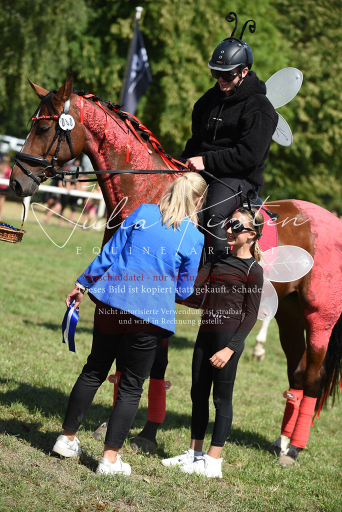 DSC_0456 | Pferde- und Turnierfotografie in Westsachsen. Pferdeportraits, Auftragszeichnungen und intuitive Kunst.