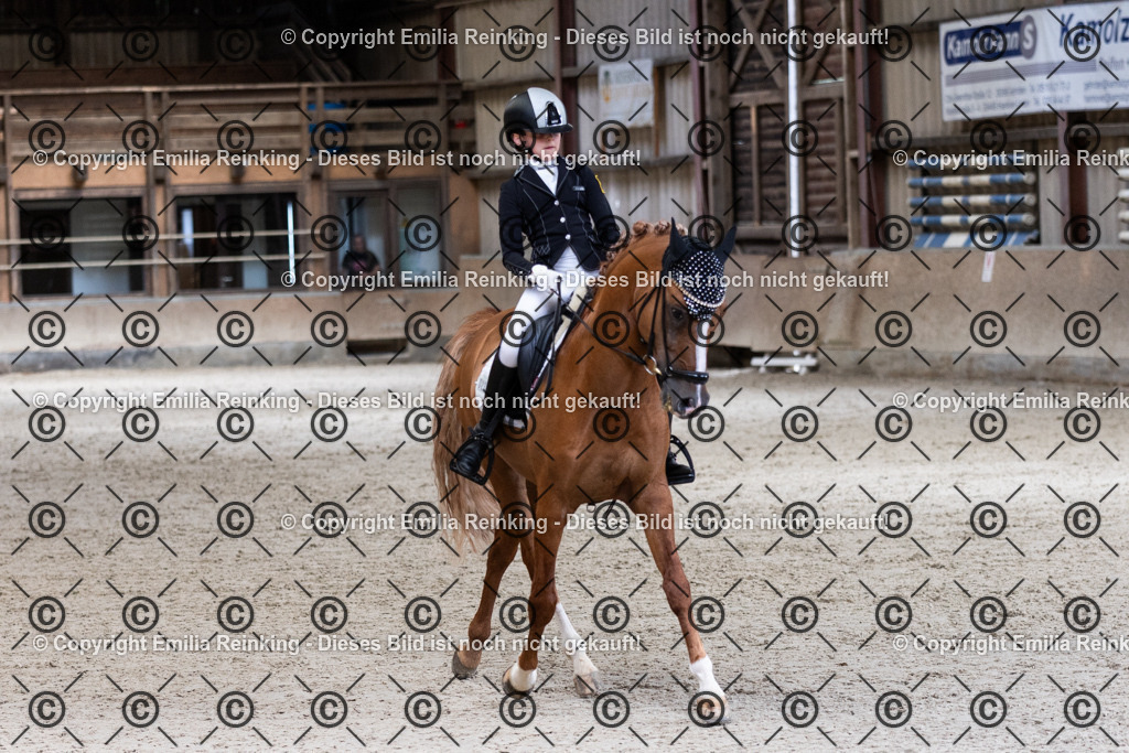 CL5A4051 | Emilia Reinking Fotografie - Realisiert mit Pictrs.com