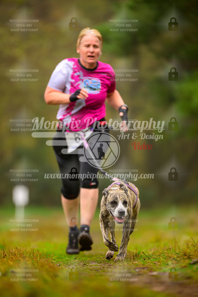 MompixPhotography_Bischwiller2025_Canicross-169 | mompixphotography