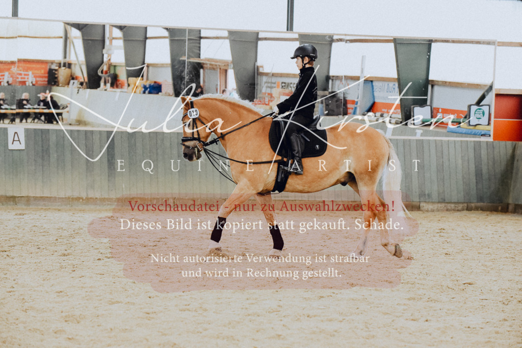DSC_7329 | Pferde- und Turnierfotografie in Westsachsen. Pferdeportraits, Auftragszeichnungen und intuitive Kunst.