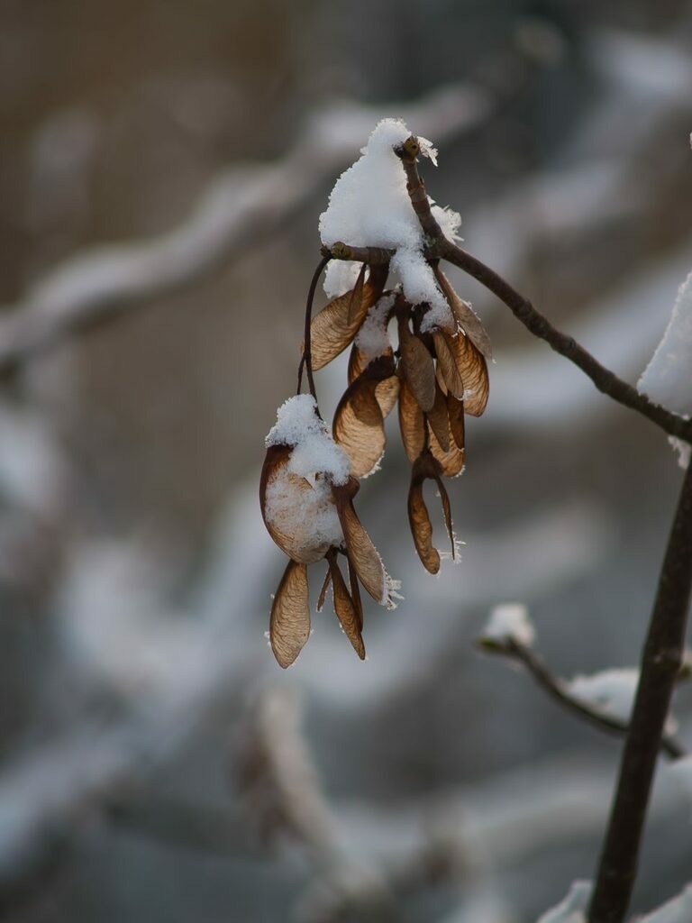 PSX_20221218_234446 | mtkfoto_ - Realisiert mit Pictrs.com