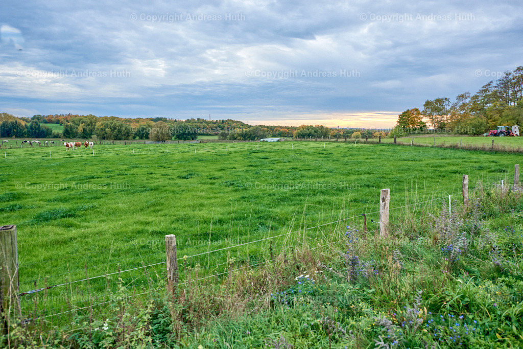 Blick vom Spitzberg nach Wurzen 01 | Bedeutsame Landschaften Deutschlands - Realisiert mit Pictrs.com