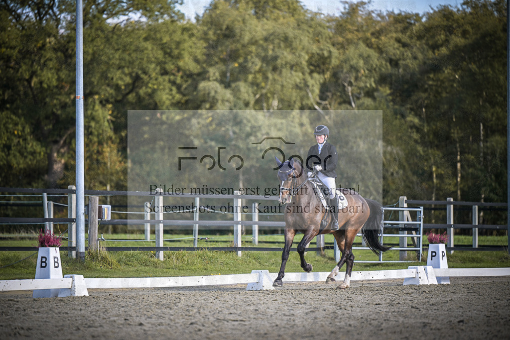 DOS_4811 | Entdecke hochwertige Reitturnierfotos von Foto Oger. Professionell, emotional und authentisch – jetzt Lieblingsmomente im Shop bestellen.Deutschlandweite Turnierfotografie. - Realisiert mit Pictrs.com