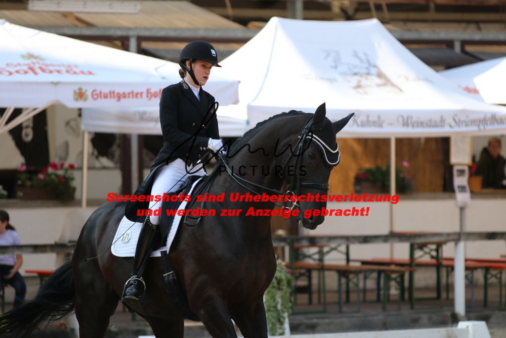 IMG_8814 | lmwpictures - Realisiert mit Pictrs.com