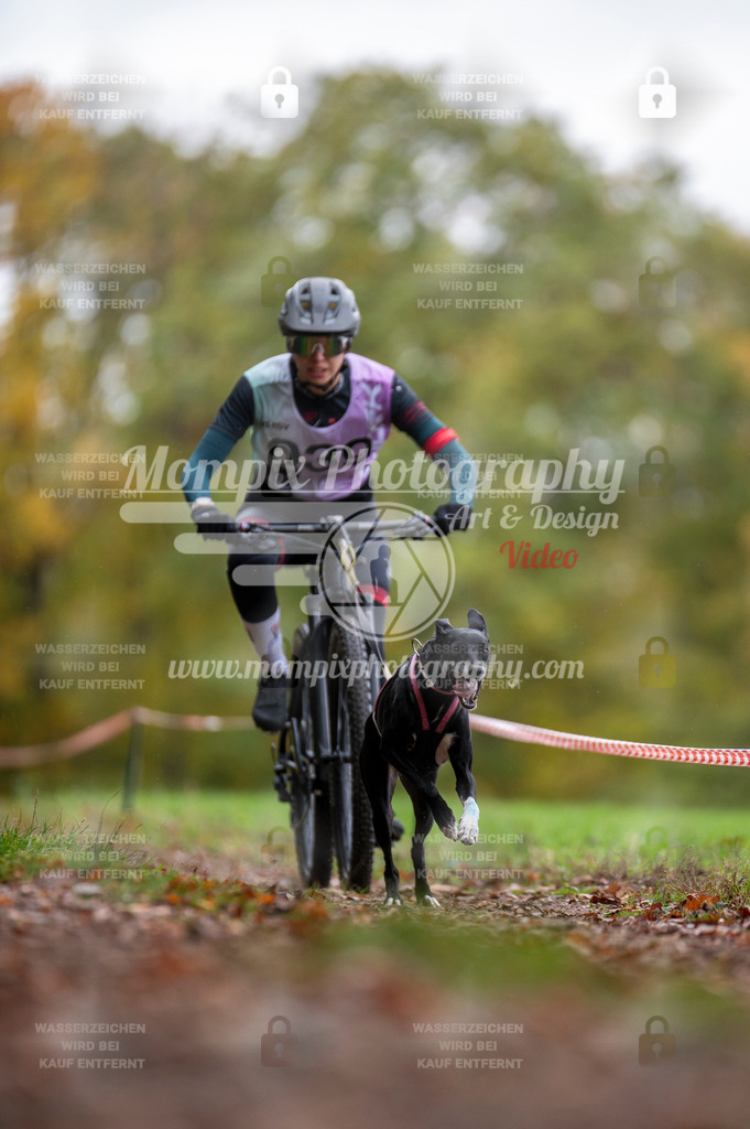 DBT_DAKM_SA_4_11_2023_Bike-16 | PayLife