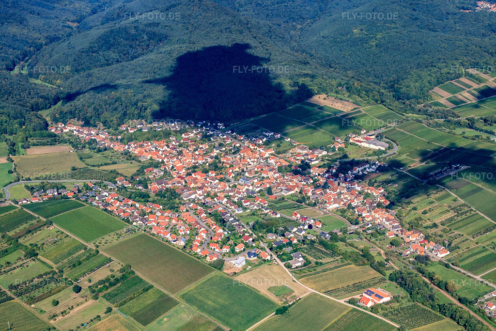 Luftbild: Winzerort an der Pfälzer Weinstraße von Südosten in Oberotterbach im Bundesland Rheinland-Pfalz in Deutschland. Foto: IMG_20993.jpg vom 06.09.2009 durch Werner Riehm/FLY-FOTO.de