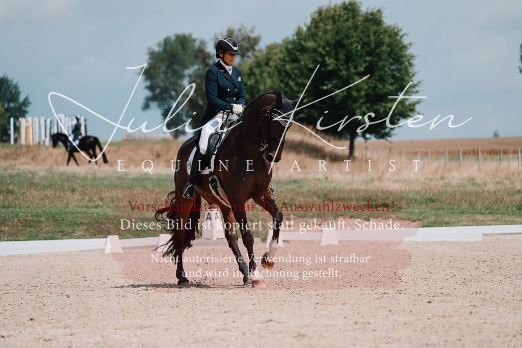 DSC_3861 | Pferde- und Turnierfotografie in Westsachsen. Pferdeportraits, Auftragszeichnungen und intuitive Kunst.