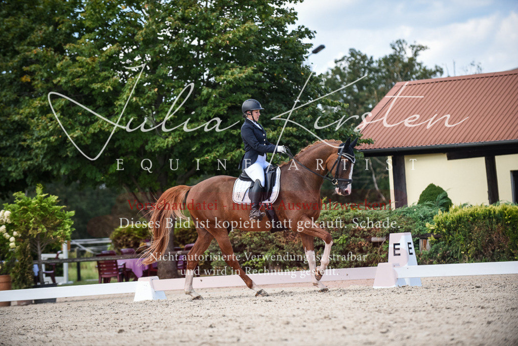 DSC_9342 | Pferde- und Turnierfotografie in Westsachsen. Pferdeportraits, Auftragszeichnungen und intuitive Kunst.