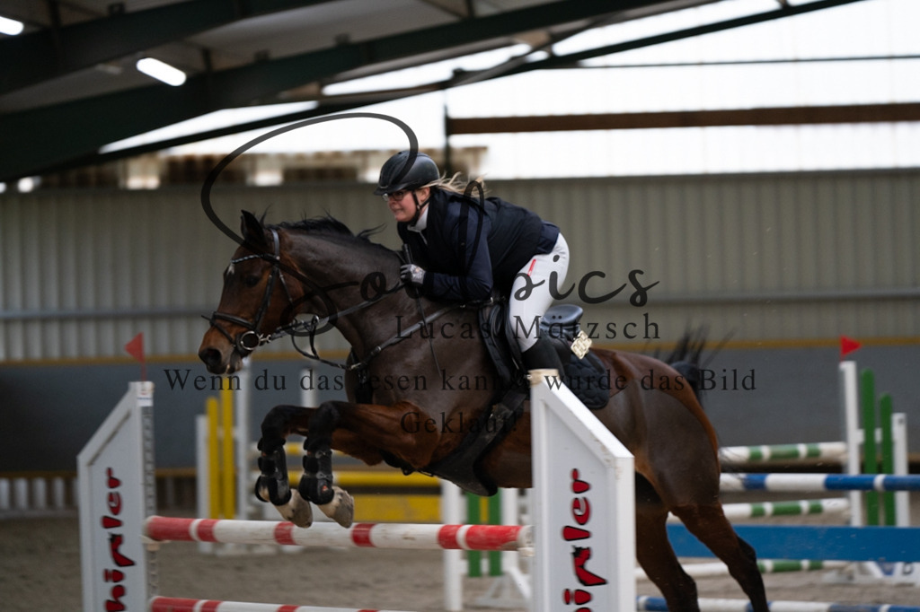 A7V02854 | Pferdefotograf