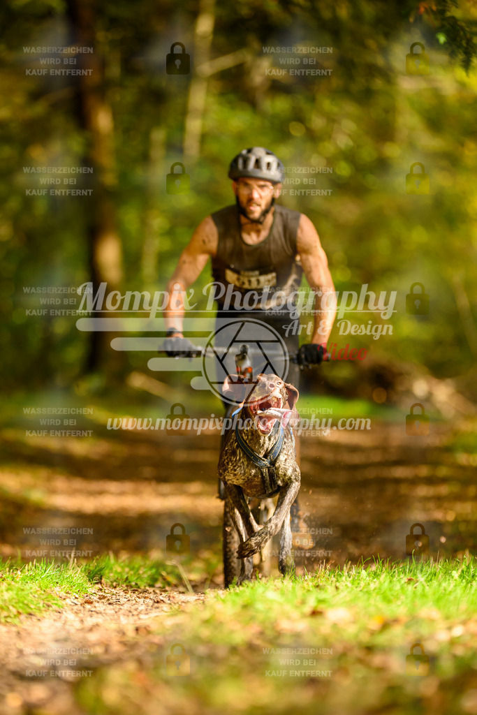 MompixPhotography_20TSB_E1_DS1-6 | PayLife