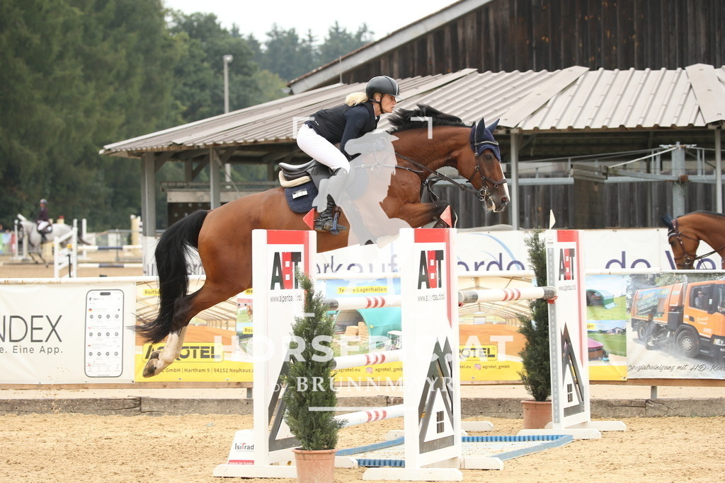 DL2Q7272 | Willkommen bei Brunnmayr - Design & Fotografie – Ihrem Spezialisten für Reitturniere und Pferdeveranstaltungen in Oberösterreich, Salzburg und Bayern! Seit über 17 Jahren sind wir leidenschaftlich dabei.