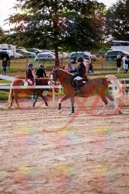 2026_10_03_Siefer-Hof_144448_Z81_19033980 | Professionelle Reitsport-, Turnier- und Eventfotografie von Robert Broda. Galerien mit ausgewählten und bearbeiteten Bildern direkt online ansehen und bestellen.