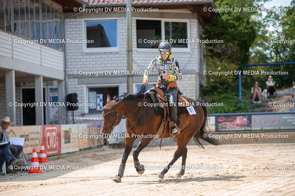 ZS3_9884 | dv-media-shop - Realisiert mit Pictrs.com