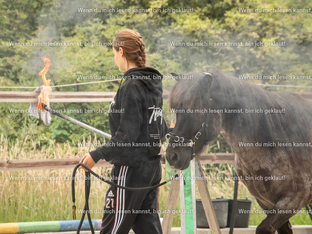598A7833 | photographylinaismer - Realisiert mit Pictrs.com