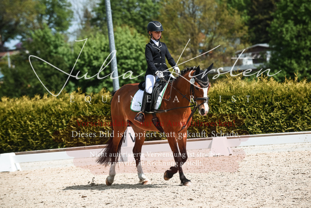 20230518_JK-Röhrsdorf-11-0745 | Pferde- und Turnierfotografie in Westsachsen. Pferdeportraits, Auftragszeichnungen und intuitive Kunst.