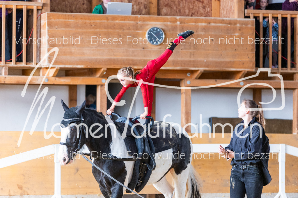 SS-Mini-213 | MomenTaufnahmen Pferdesportfotos