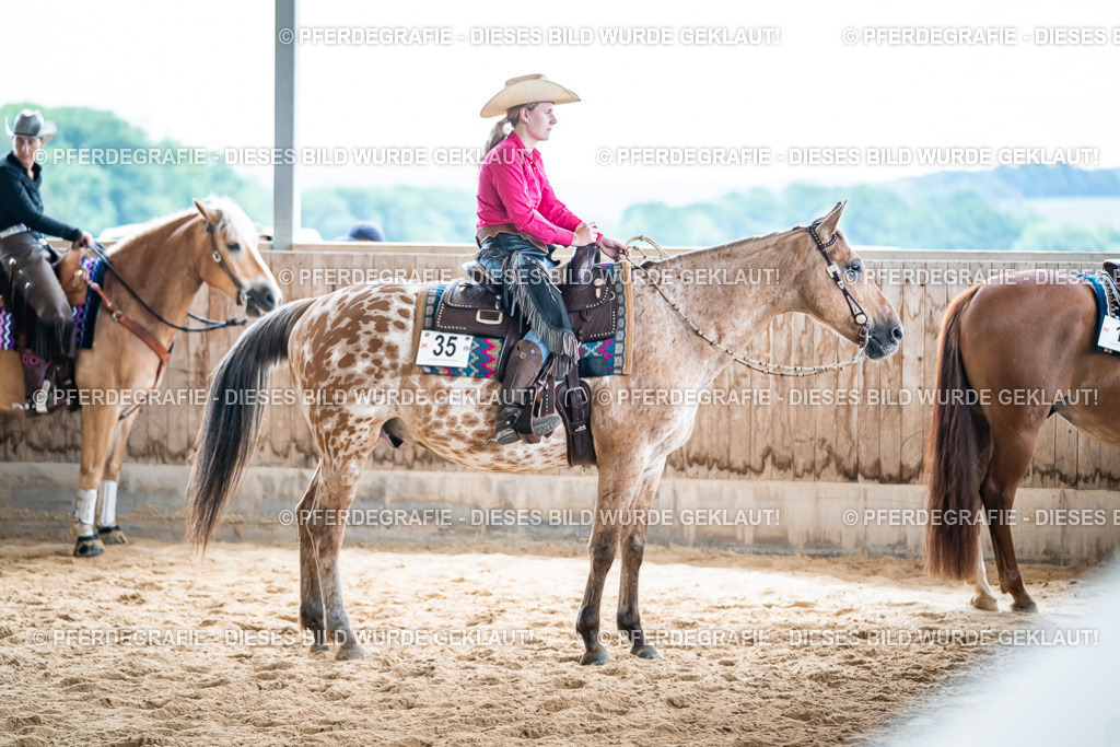 DSC07595 | Pferdegrafie