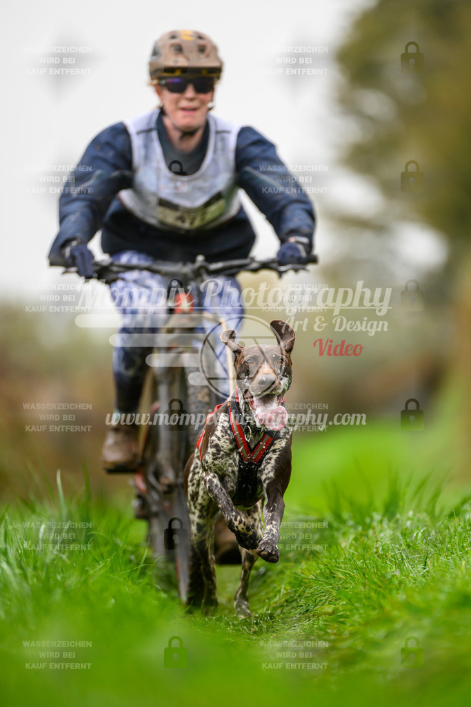 MompixPhotography_20TSB_E8_Bike-120 | PayLife