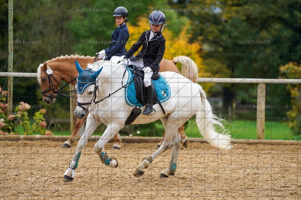 20221008-FAH01443 | Diessen am Ammersee, 2022, Dressur- und Springturnier, Reitsportbilder, Turnierfotografen Bayern, Pferdefotografen, Fotoagentur Herrmann, Turnierbilder