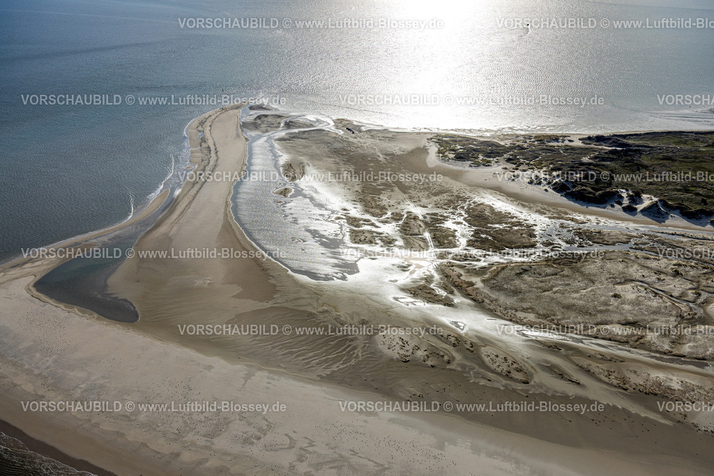 Aurich251105357Norderney | Luftbild, östlichster Punkt von Norderney, Dünen und Sandstrand, Salzwiesen zwischen Möwendüne und Ostende von Norderney, Wichter Ee Seegatt, Norderney, Norddeutschland, Ostfriesland, Niedersachsen, Deutschland