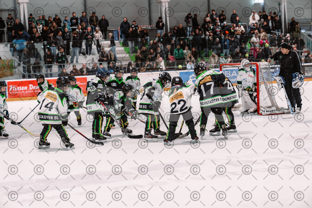 Alligators_vs_Stuttgart_16_11_2025-84 | Höchstadt Alligators Fotogalerie: Eishockey-Action aus Franken. Professionelle Spielfotos, Portraits & Stadionbilder zum Download. Jetzt entdecken! - Realisiert mit Pictrs.com