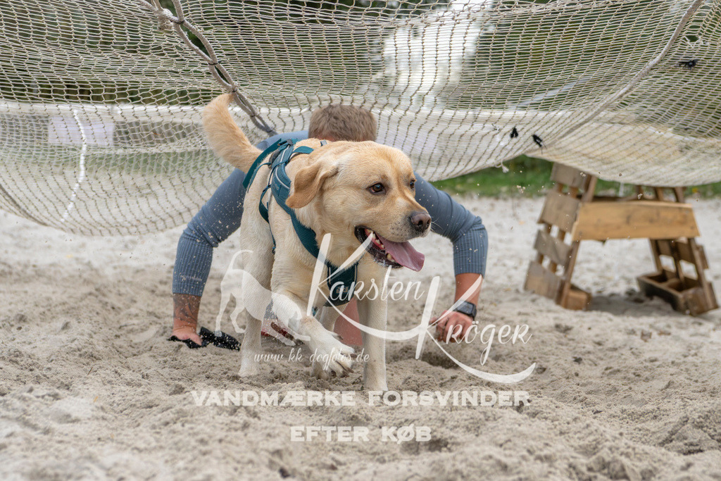 1116_ZZ95954 | kk-dogfotos