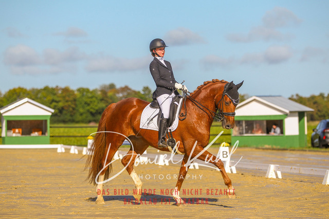 DKP44977 | Turniersportfotografie; Pferdefotografie; Dressurfotografie