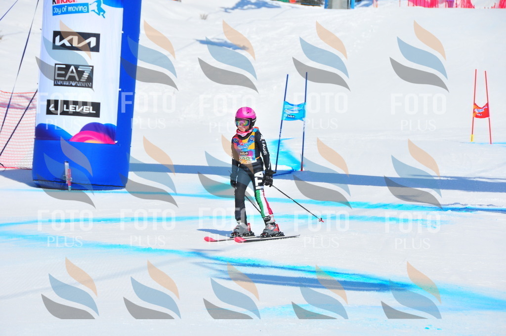 DSC_1023 | holidayphoto