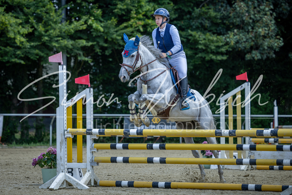 20260704-_3LI9446 | Tierfotografie Pferde, Hunde, Katzen, Haustiere.
Turnierfotografie Reitturniere, Reiten, Springreiten, Dressur in Hanau, dem Main-Kinzig-Kreis und dem Rhein-Main- Gebiet um Frankfurt