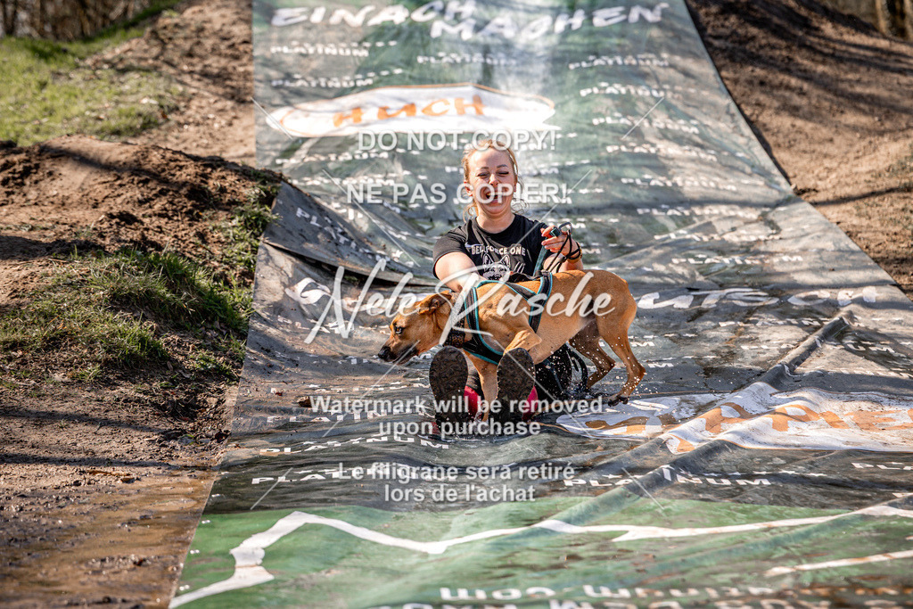 nelerasche_Hulsbeek_So1230-1300_116 | nelerasche