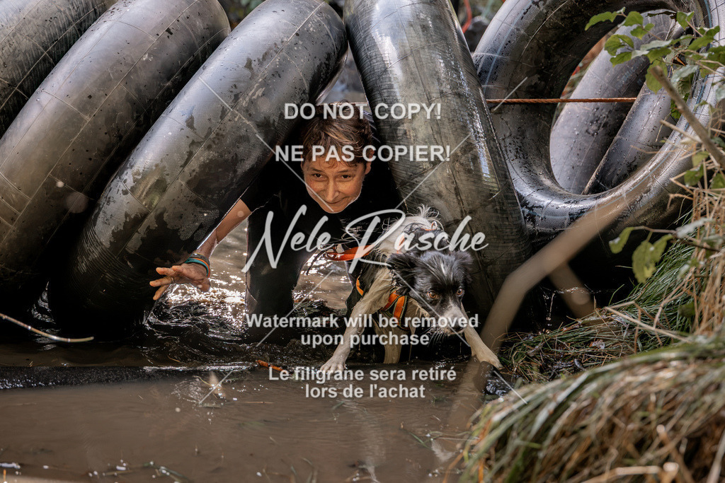 nelerasche_Hunsrück2026_Sa1400-1500_403 | nelerasche