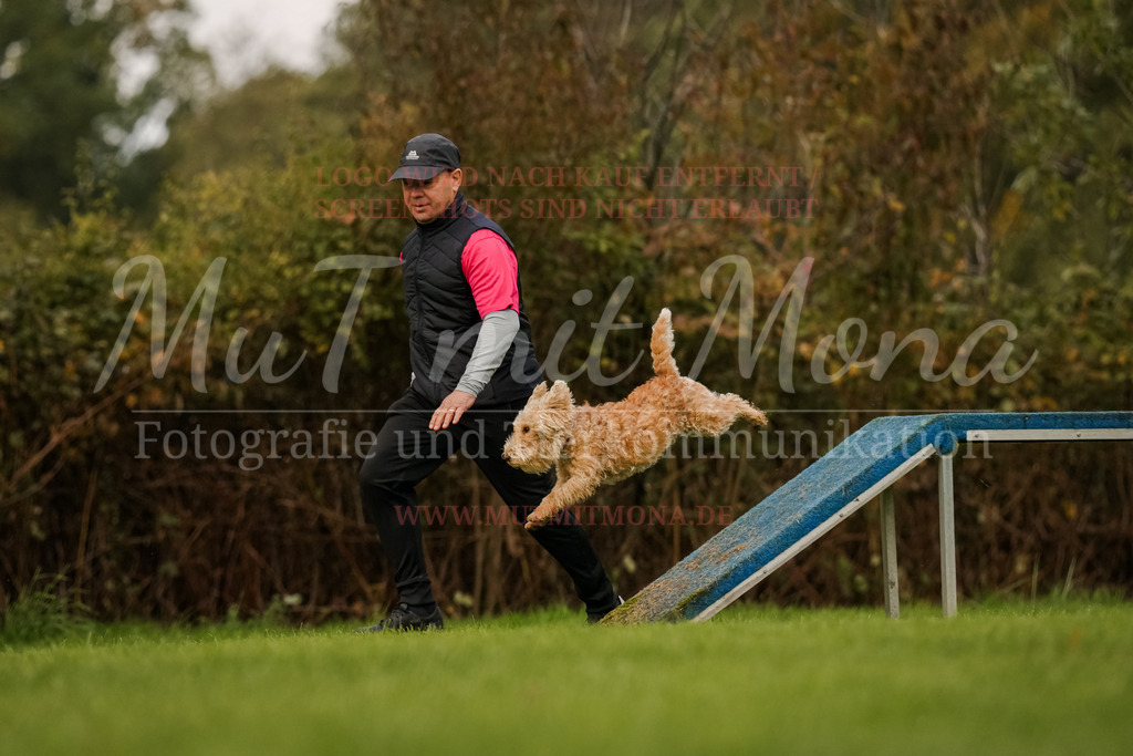 20251005_THS_Turnier-700 | MuT (Mensch und Tier) mit Mona - Fotografie und Tierkommunikation - Realisiert mit Pictrs.com