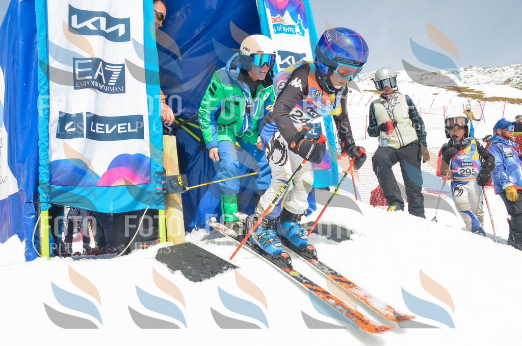 _ELE7454 | holidayphoto