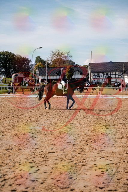 2026_10_03_Siefer-Hof_133510_Z63_94433667 | Professionelle Reitsport-, Turnier- und Eventfotografie von Robert Broda. Galerien mit ausgewählten und bearbeiteten Bildern direkt online ansehen und bestellen.