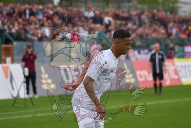 BFC Dynamo vs. VSG Altglienicke 035 | mythos-online-redaktion