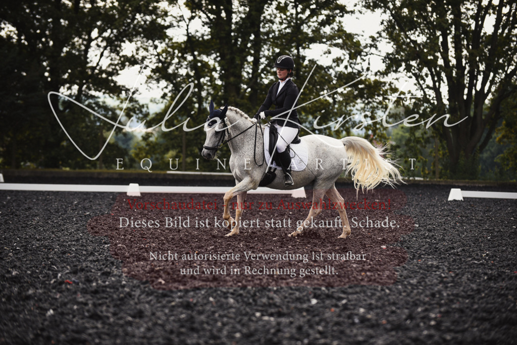 DSC_3972 | Pferde- und Turnierfotografie in Westsachsen. Pferdeportraits, Auftragszeichnungen und intuitive Kunst.