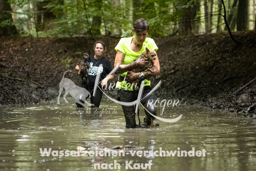 1248_ZZ91434-Bearbeitet | kk-dogfotos