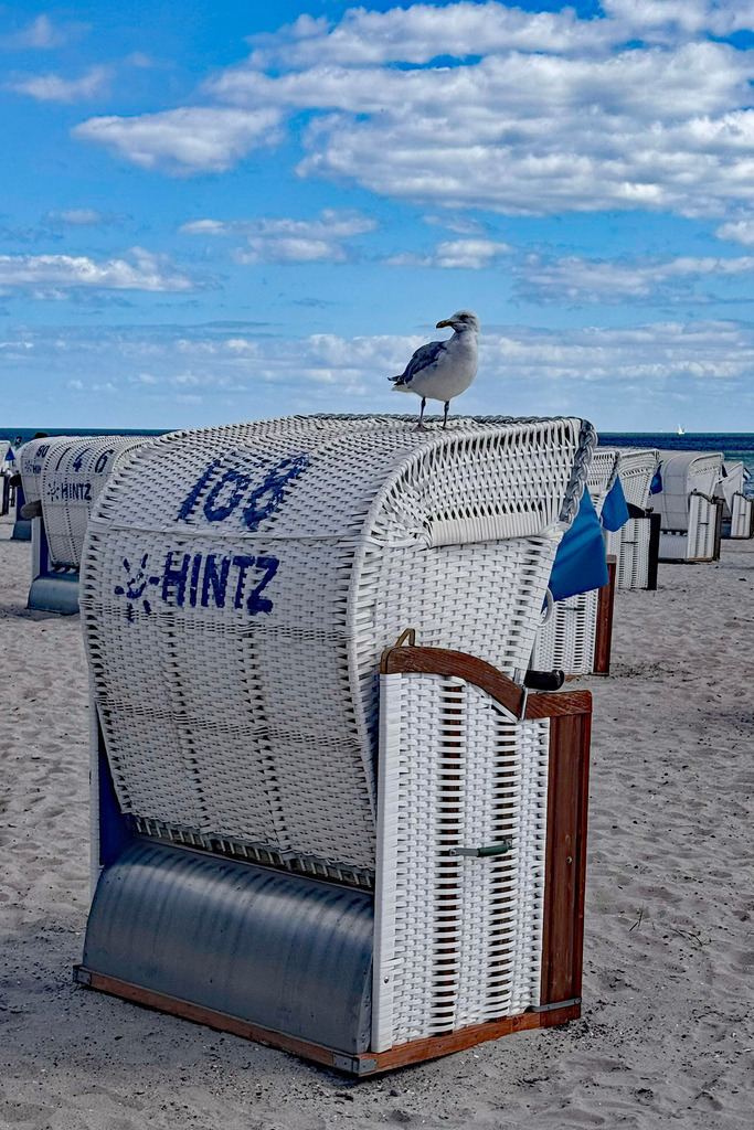 IMG_5879 | codoma - Realisiert mit Pictrs.com