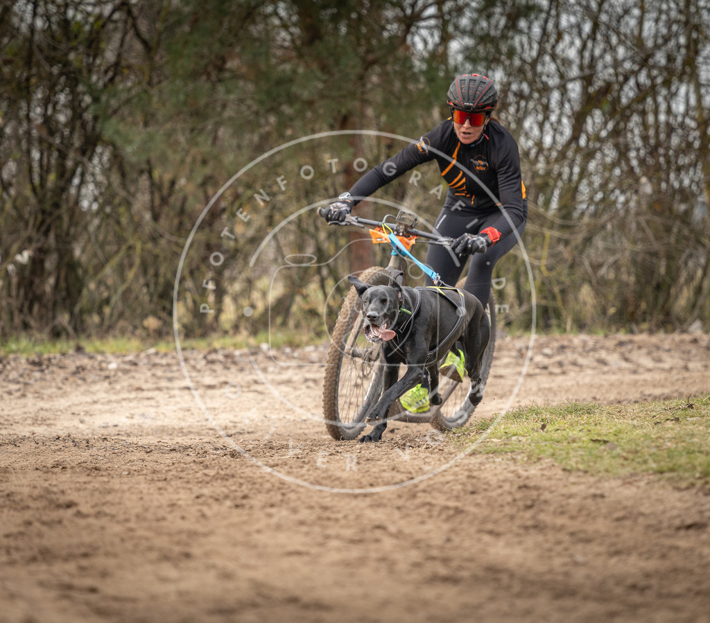 Pfotenfotografie_DV3A9168 | Hundefotografie, Tierfotograf, Pfotenfotografie, Fotoshooting Hund, Hunde Portrait, Hundesport, Hundeportraits, Heideshooting, Hunde, Sportfotograf, Hundefotograf, Turnierhundsport, THS,  - Realisiert mit Pictrs.com