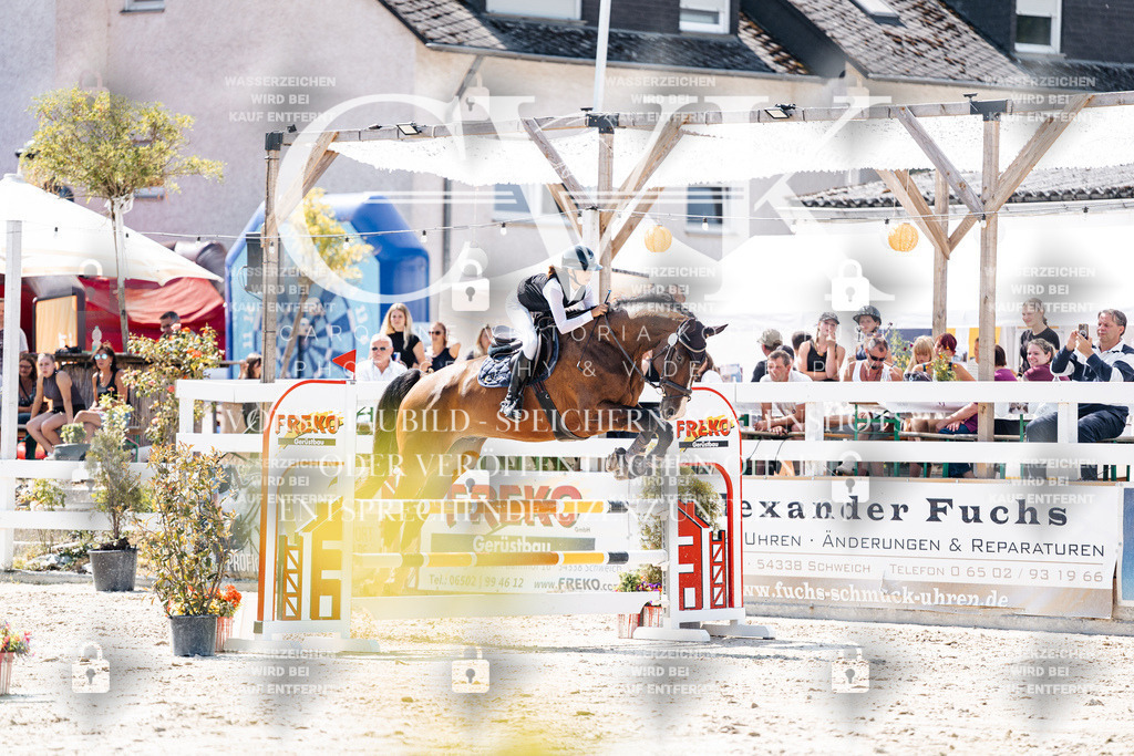 CK909172 | Turnierfotografie Pferdefotografie Trier Rheinland-Pfalz Pferdesport Reitsport Tierfotografie Sportfotografie Pferdevideo Pferdevideografie Equestrianvideography equestrianphotography  - Realisiert mit Pictrs.com