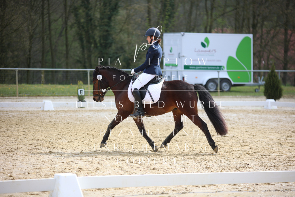 IMGT5043 | pl-fotografie