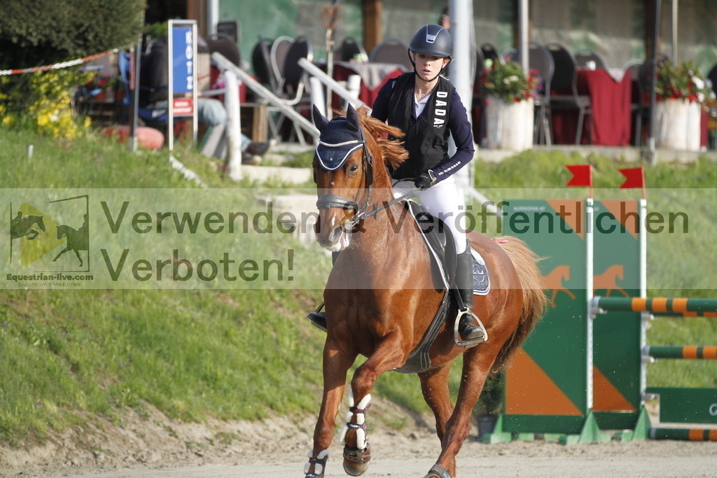 _MG_8784 | equestrian-live-com