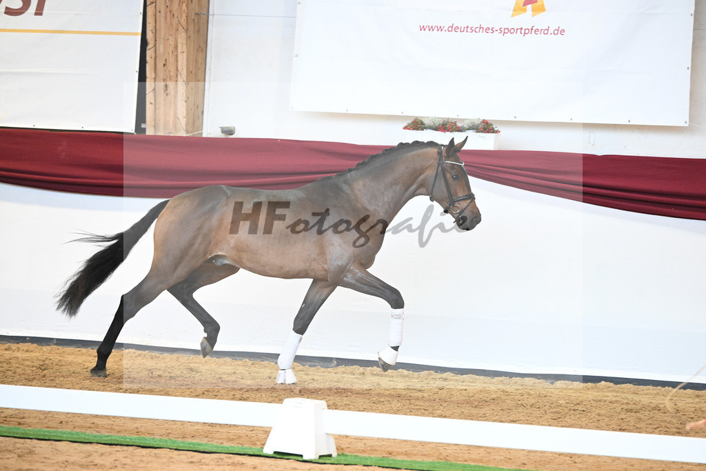 Kat-Nr. 39 v. Jovian_Dahlhoff_66221011 | hf-fotografie - Realisiert mit Pictrs.com
