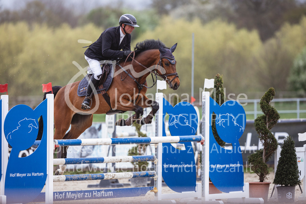 250417_Springpferde-L1-214 | Deine schönsten Turniermomente als professionelle Fotos! Entdecke hochwertige Pferdesport-Fotografie im Online-Shop. Jetzt Fotos finden & bestellen!