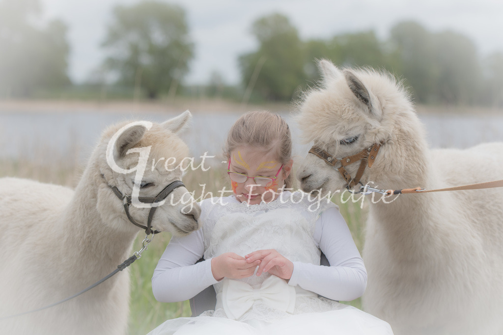 DSC_4218 | Great-Light Fotografie - Realisiert mit Pictrs.com